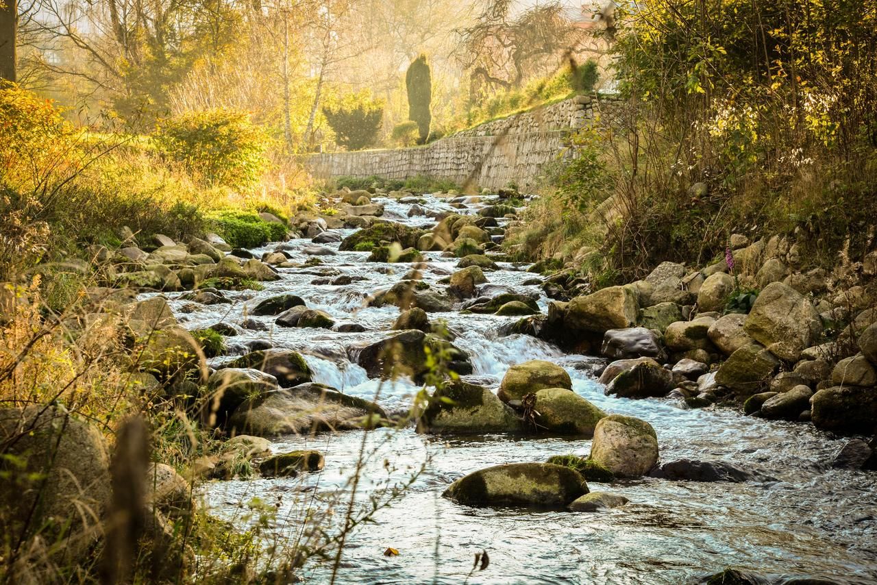 Отели типа «постель и завтрак» Gościniec Nad Potokiem Карпач